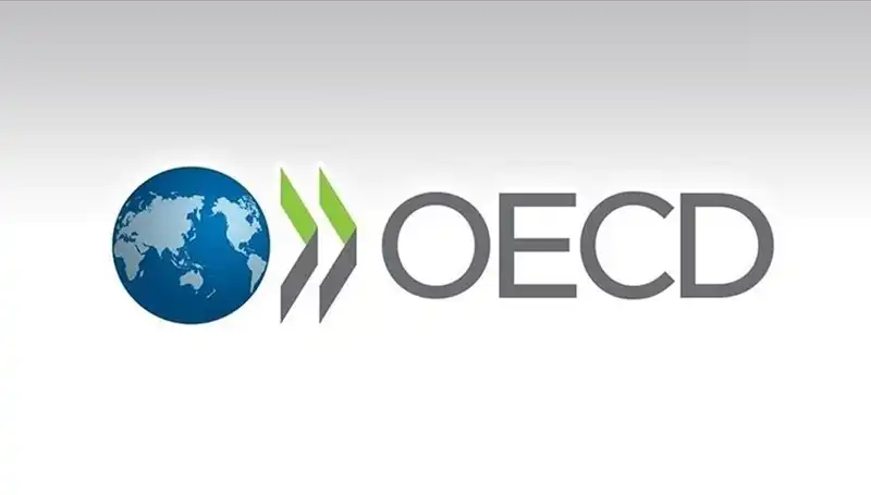 OECD, Türkiye'nin 2023 Büyüme Tahminini Yeniden Gözden Geçirdi!