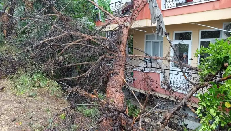 Yağmur Sonrası Düşen Bina: Şaşırtıcı Olayın Ayrıntıları