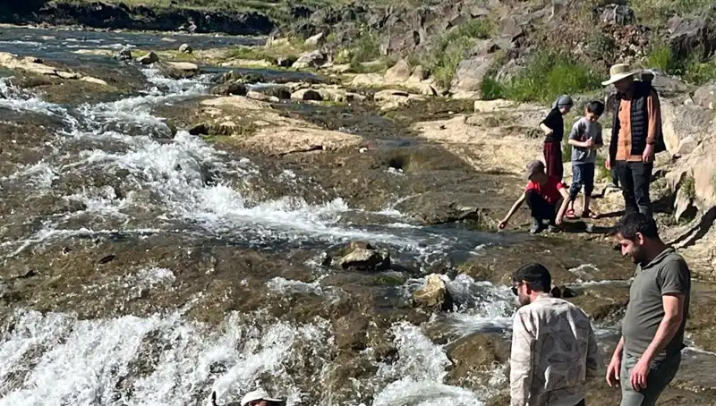 İnci Kefalinin Göçü: Doğanın Muazzam Gösterisi Viran Şehirleri Aşarak Turist Çekiyor