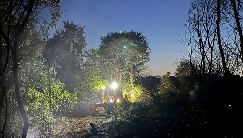 Edirne'de Orman Yangını Kontrol Altına Alındı: Zararın Boyutu Nedir?