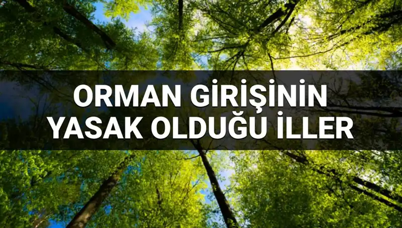 2025'te Ormana Girmek Yasaklanan Iller: Hangi İllerde Giriş Yasak?