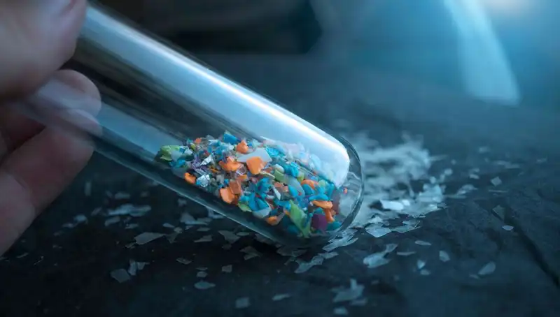 Mikroplastikler İnsan Beyninde Ne Kadar Tehlikeli? Yeni Araştırmalar Aydınlatıyor