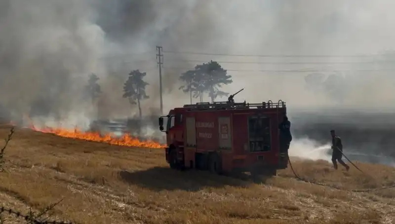 Kırklareli'nde Korkutan Anız Yangını: Doğa ve Tarım Tehlikede!