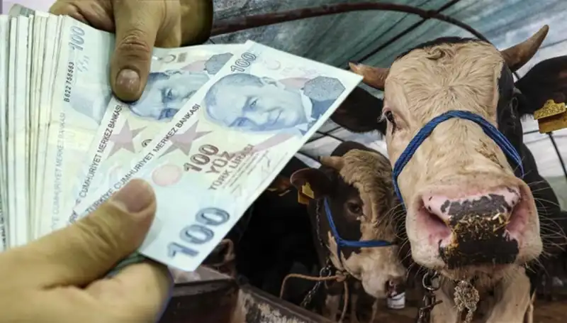 Kurban Bayramı Öncesi Maaşlar Ne Zaman Yatacak? İşte Cevap!