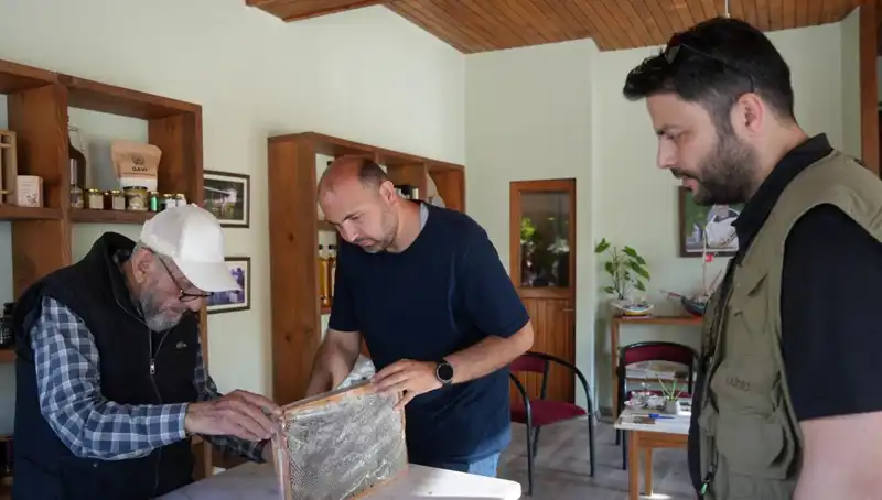 Hem Şifa Hem Zehir: Doktor Tavsiyesiyle Kullanılmalı Olan Bu Doğal Maddeler
