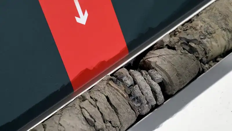 Dinozor Fosili Müze Otoparkında Bulundu: Bilim Dünyasını Şaşırttı