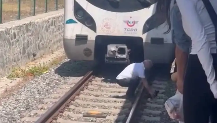 Marmaray Makinistinin Hayvanseverliği: Raylardaki Kediye Durdurdu