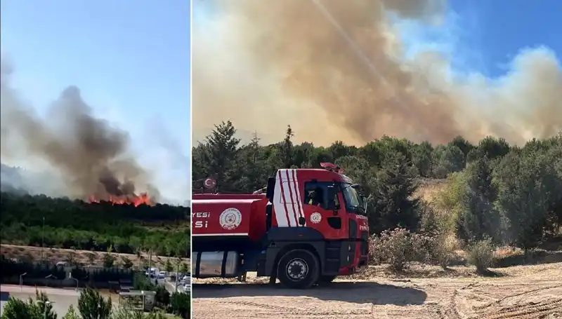 Gebze'de Orman Yangını Korkuttu: Ekipler Seferber Oldu!