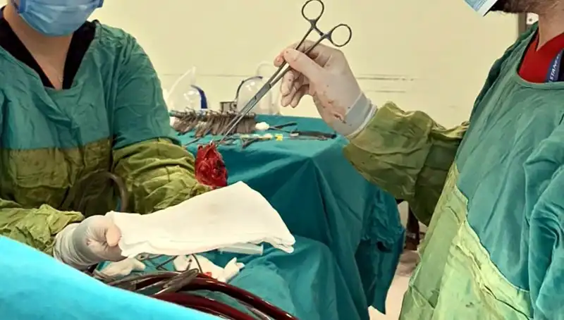 Kalp Kapağındaki Çürümeyle Mücadele: 7 Saatlik Ameliyat ve Mucizevi Sonuçlar