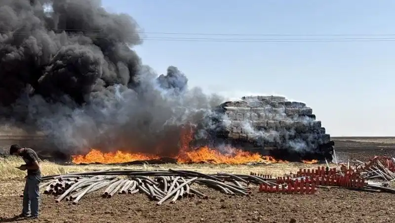 Mardin'de Anız Yangını: Tarım Alanları Tehlikede, Çiftçiler Zor Durumda
