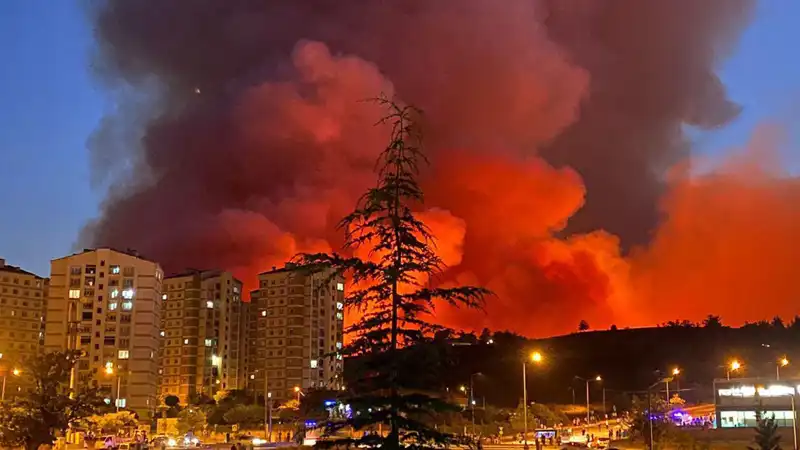 Bursa'da Yangınlar Şehri Tehdit Altında: Halk Endişeli