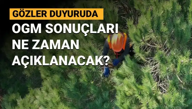 OGM Personel Alımı: 3 Bin 477 Sözleşmeli Pozisyona Başvurular Ne Zaman Sonuçlanacak?