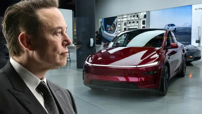 Türkiye'den Elon Musk'a Haziran'da Yüzde Kaç Kazanç Elde Etti?