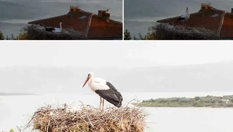 Yaren Leylek, Depremin Gelmesini Nasıl Hissetti?