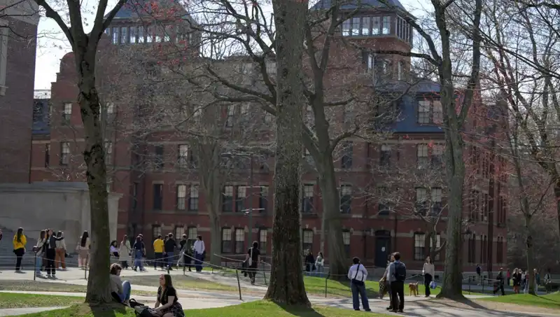 Harvard Üniversitesi, Yabancı Öğrenci Kayıt Yetkisini Kaybetme Tehlikesiyle Karşı Karşıya