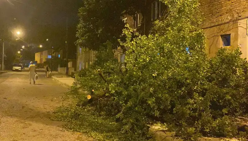Karabük'te Şiddetli Fırtına: Doğa, Şehrin Sınırlarını Zorluyor
