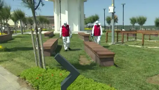 Kene Zulmü Artıyor! Halka Açık Alanlarda İlaçlama Başladı